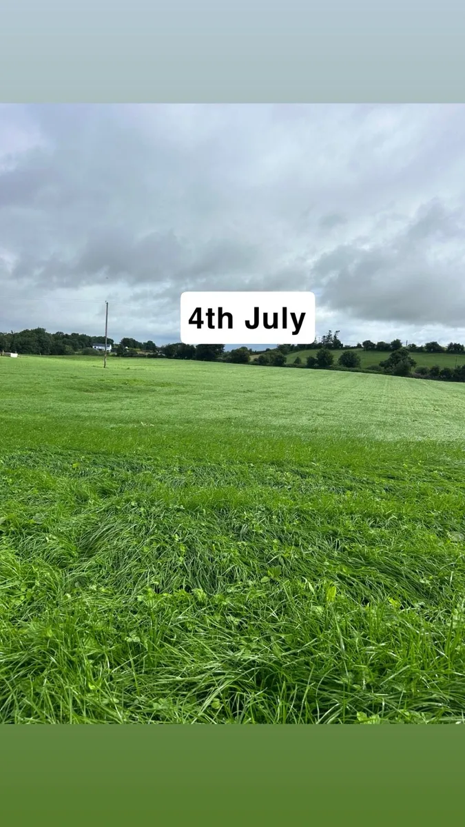 Direct drilling / Grass stitching - Image 1