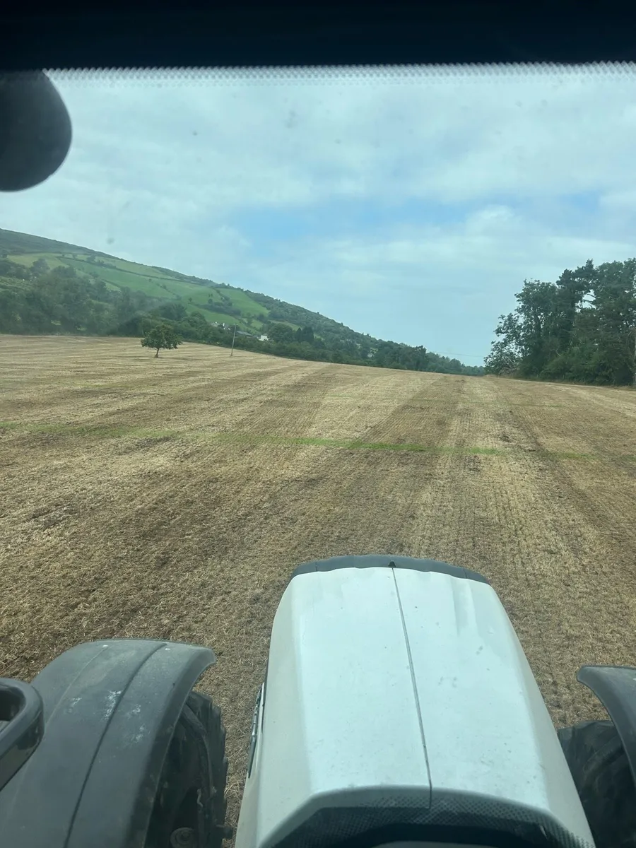 Direct drilling / Grass stitching - Image 3