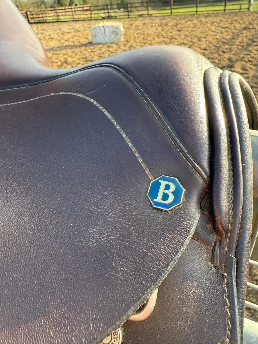 Barnsby Jump Saddle - Image 3
