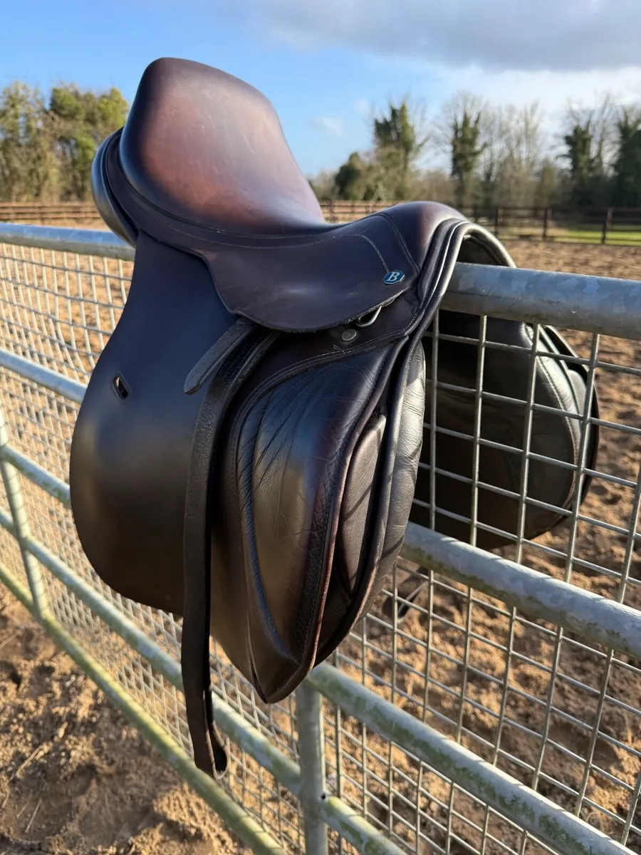 Barnsby Jump Saddle - Image 4