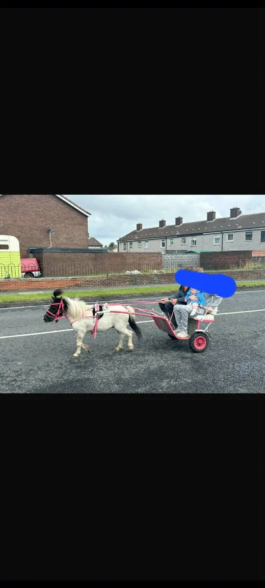 Kids Pony - Image 1