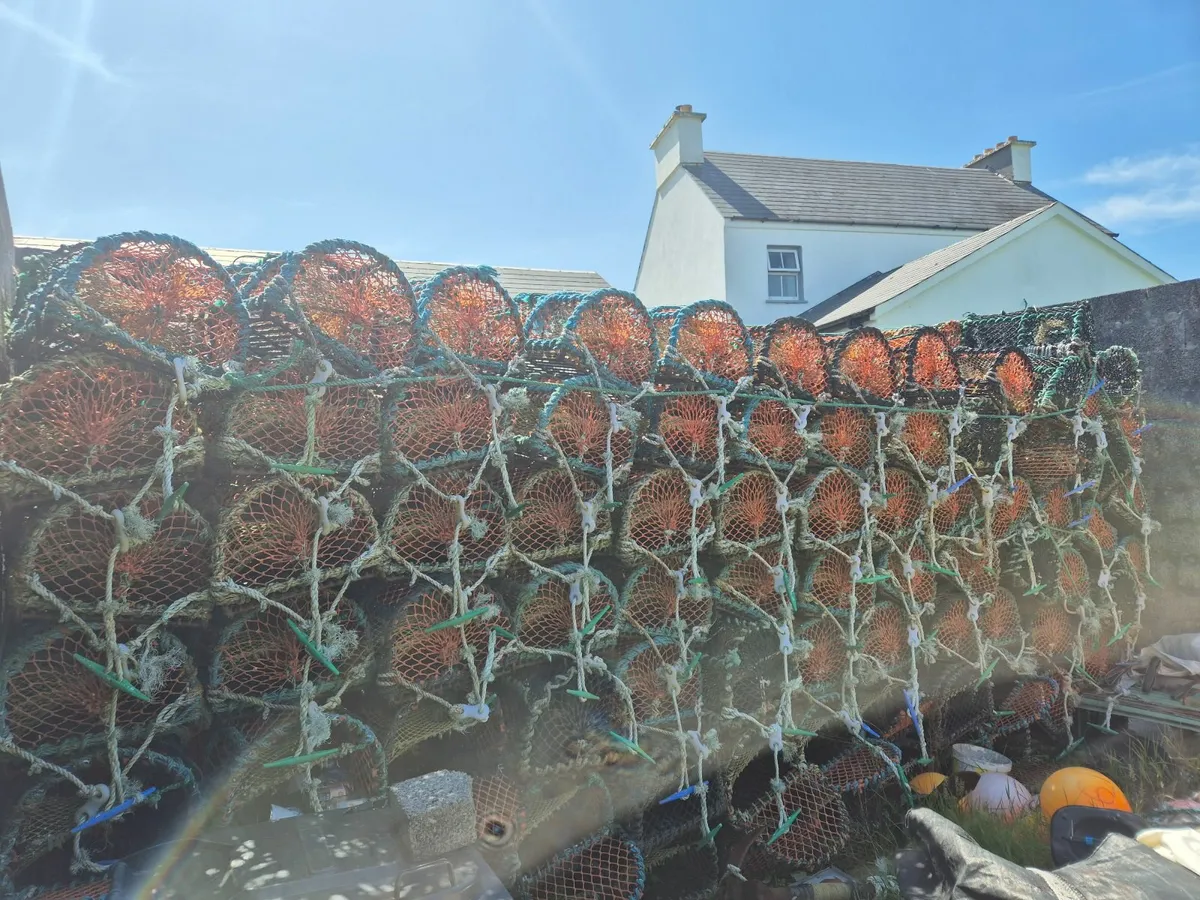 Lobster pots - Image 3