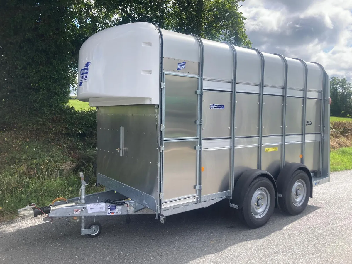 1  AVAILABLE -New Ifor Williams Horse Trailer - Image 1