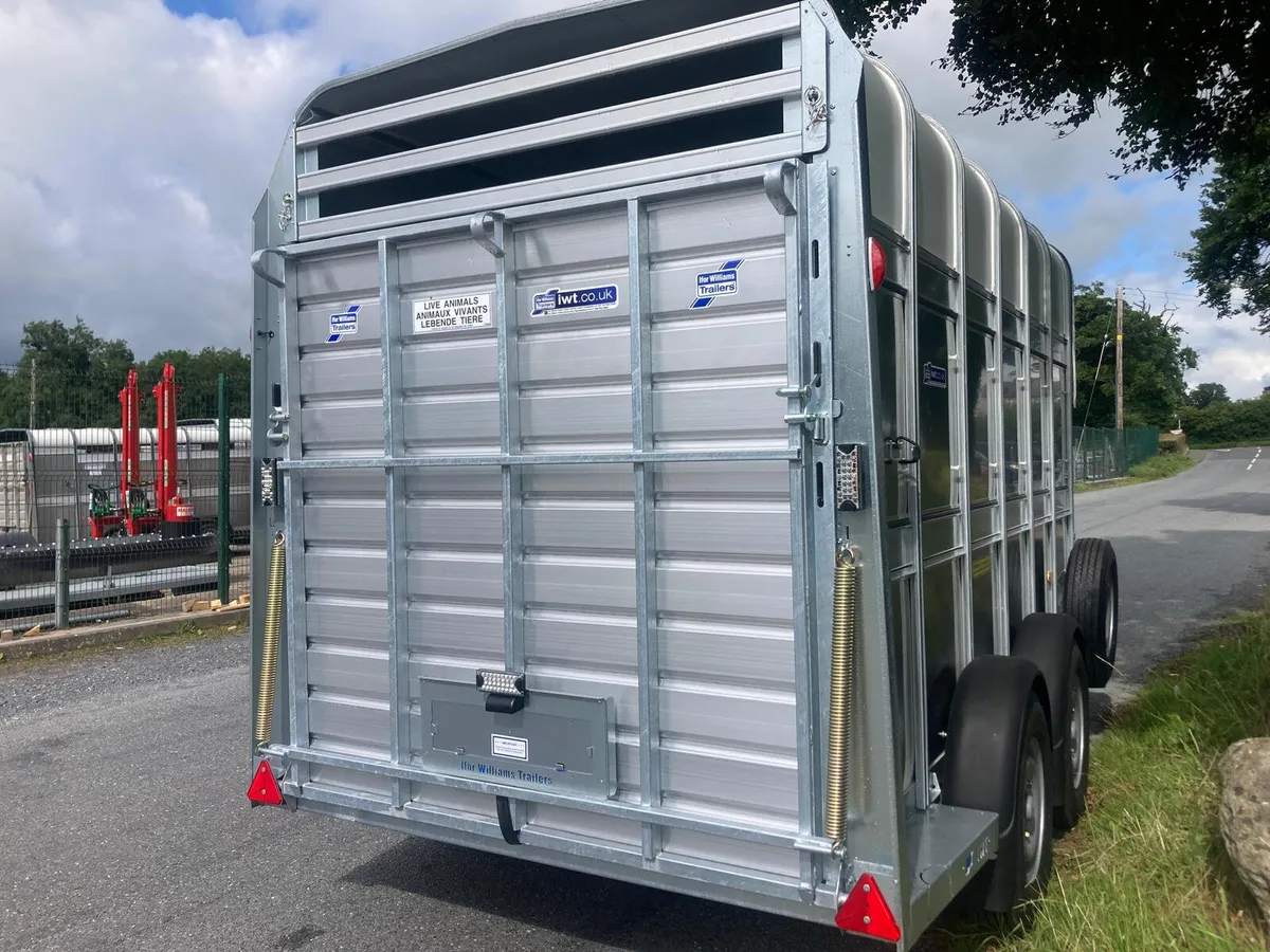 1  AVAILABLE -New Ifor Williams Horse Trailer - Image 2