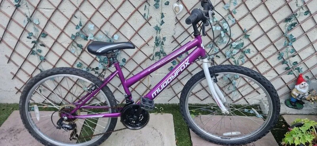Muddyfox bike - Image 1