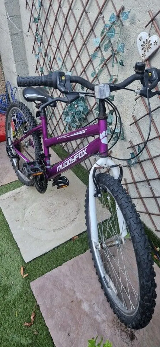 Muddyfox bike - Image 2