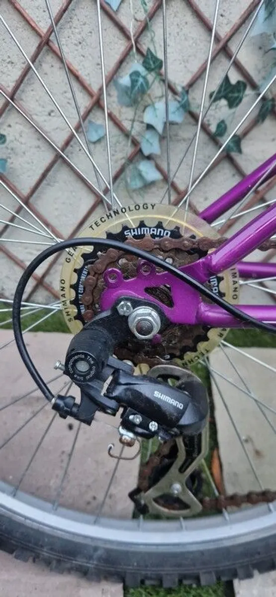 Muddyfox bike - Image 4