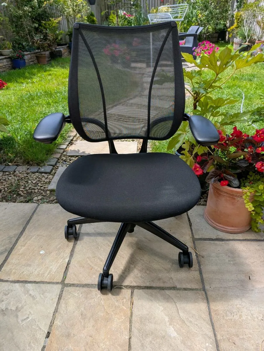 Ergonomic office chair - Image 1