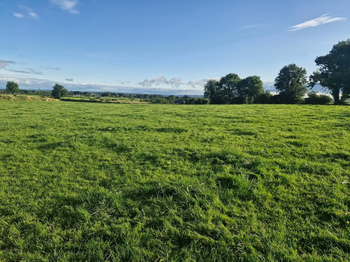 Land - Image 3