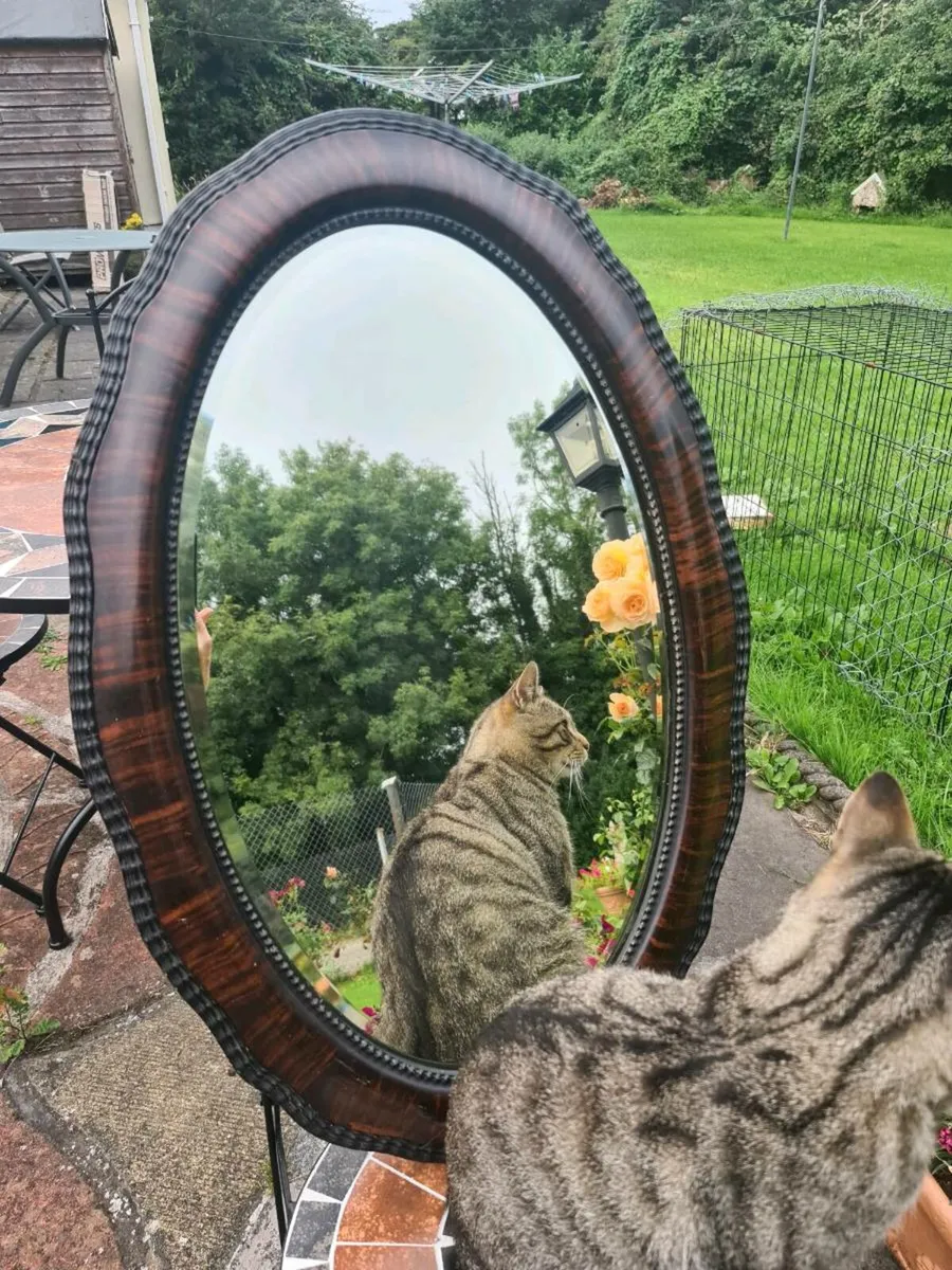 1920s oval mirror - Image 2