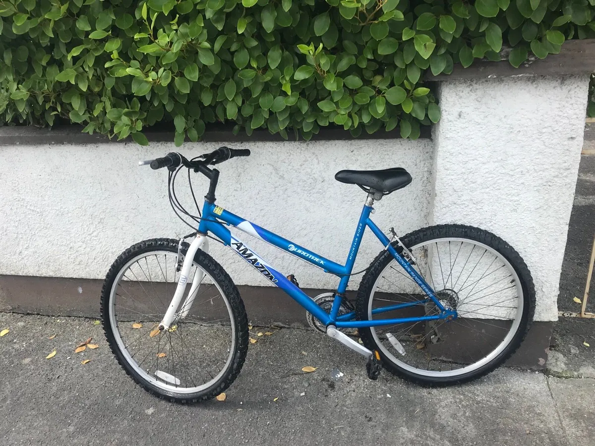 Ladies mountain bike - Image 2
