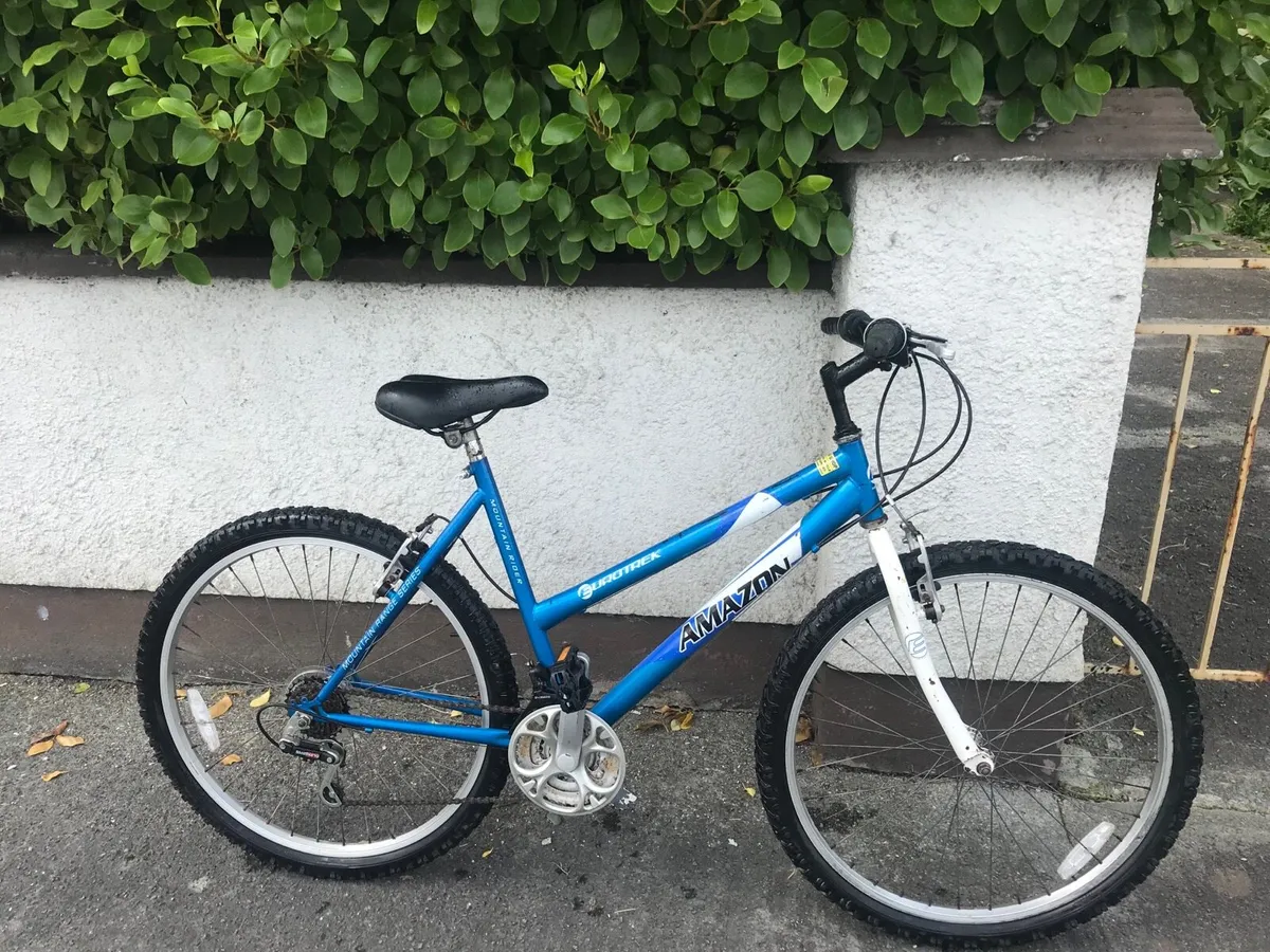 Ladies mountain bike - Image 4