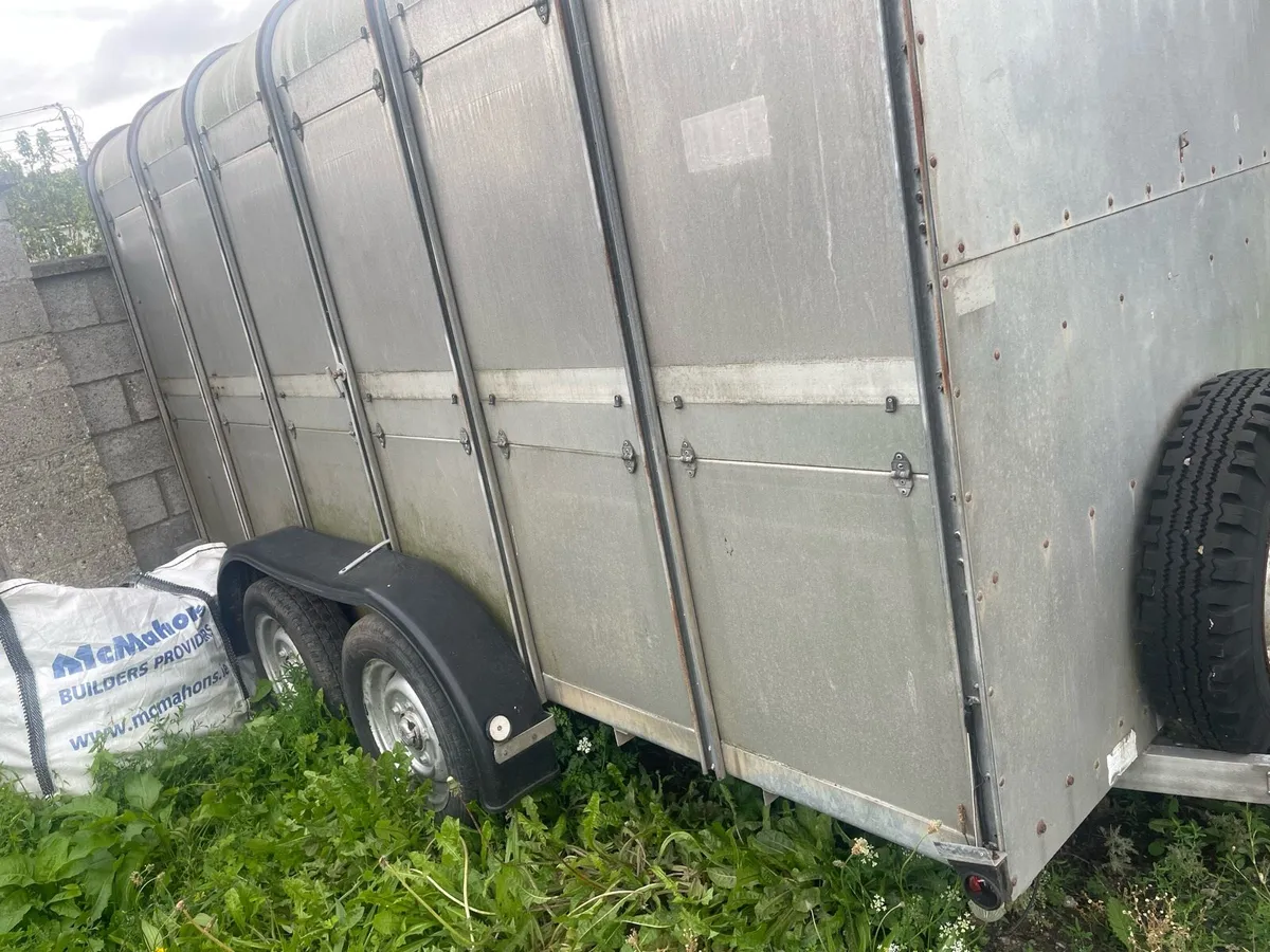 Ifor Williams cattle trailer - Image 2