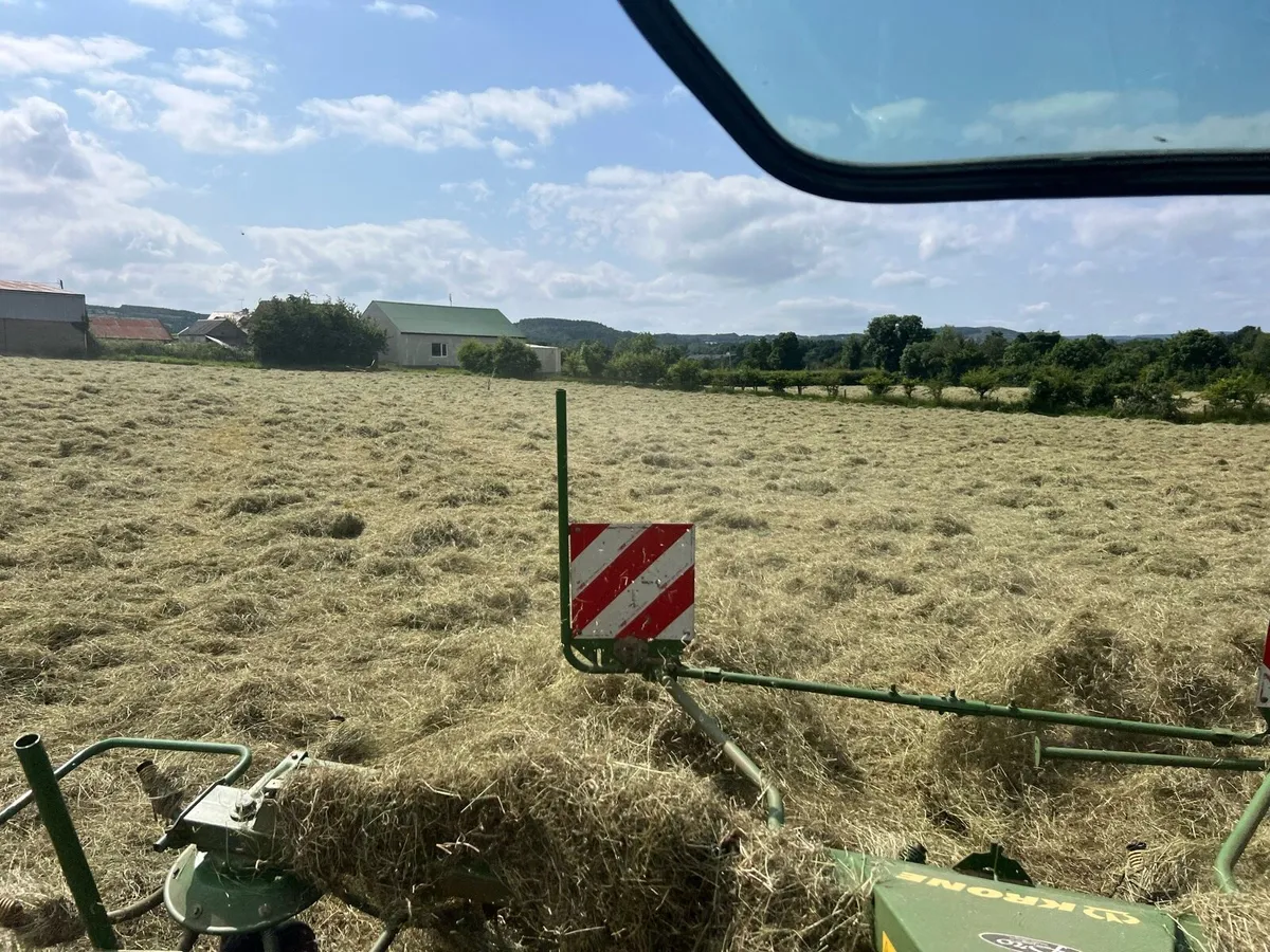 Hay small square bales - Image 3