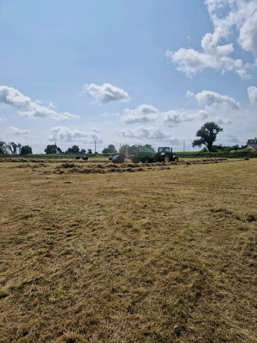 Horse Haylage