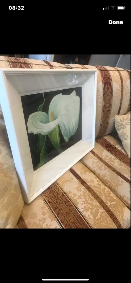Arum Lily- Nicola Lynch Morrin - Image 1
