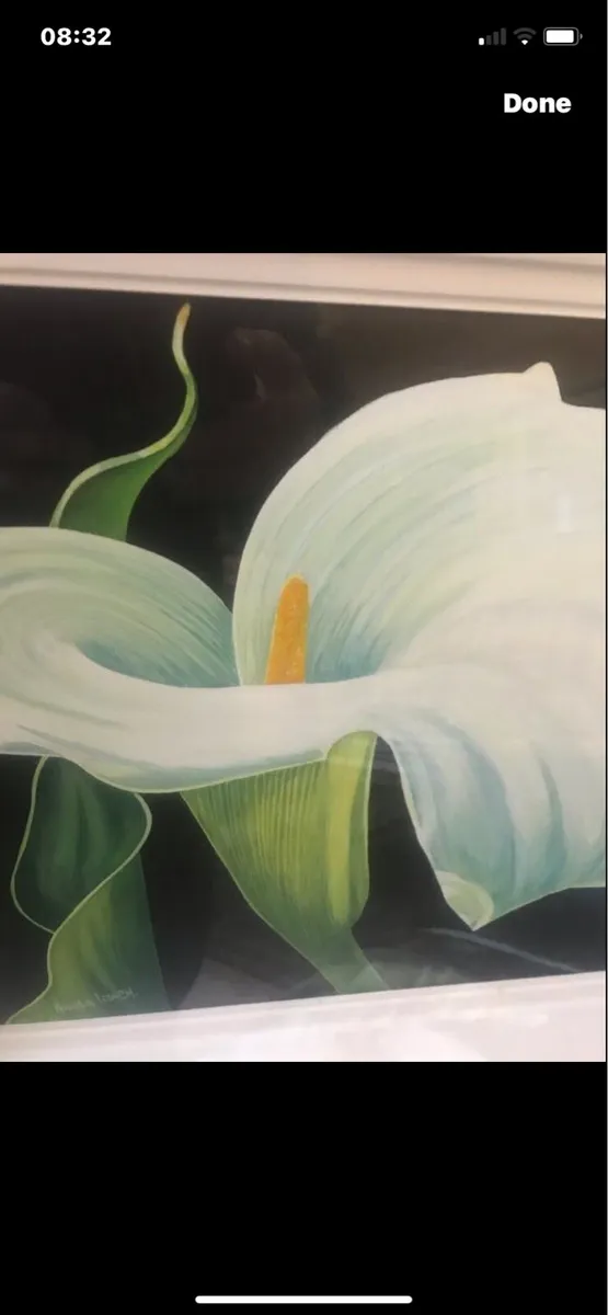 Arum Lily- Nicola Lynch Morrin - Image 3