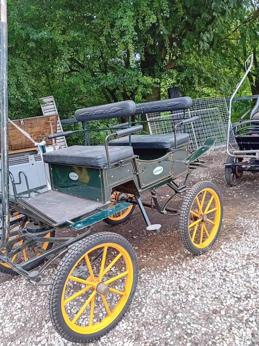 Wagonette - Image 1