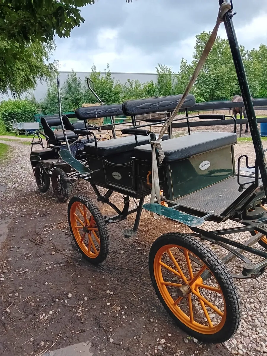 Wagonette - Image 2