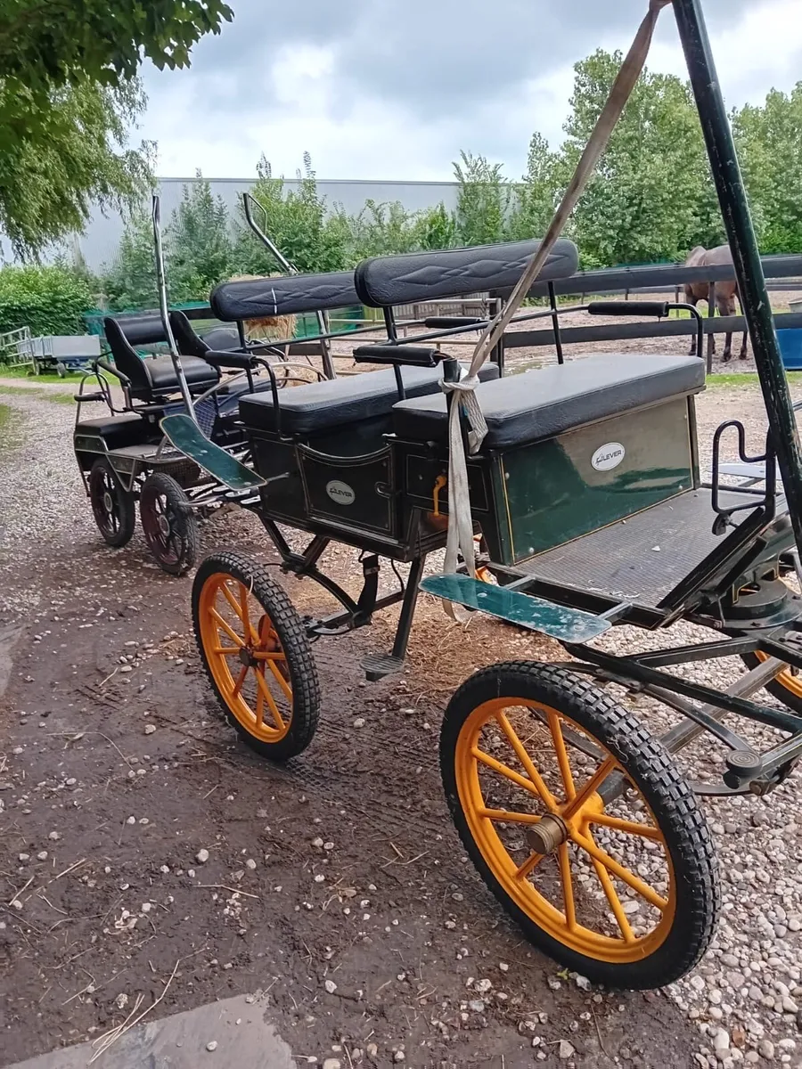 Wagonette - Image 3