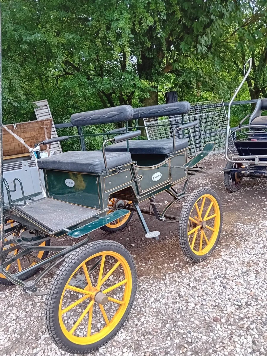 Wagonette - Image 4