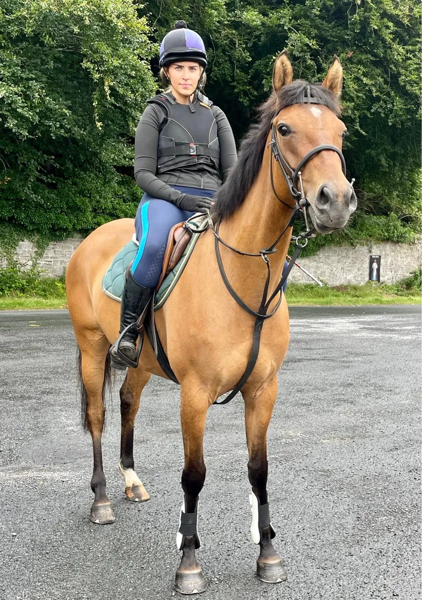 Genuine quiet 4 yo Dun mare - Image 1