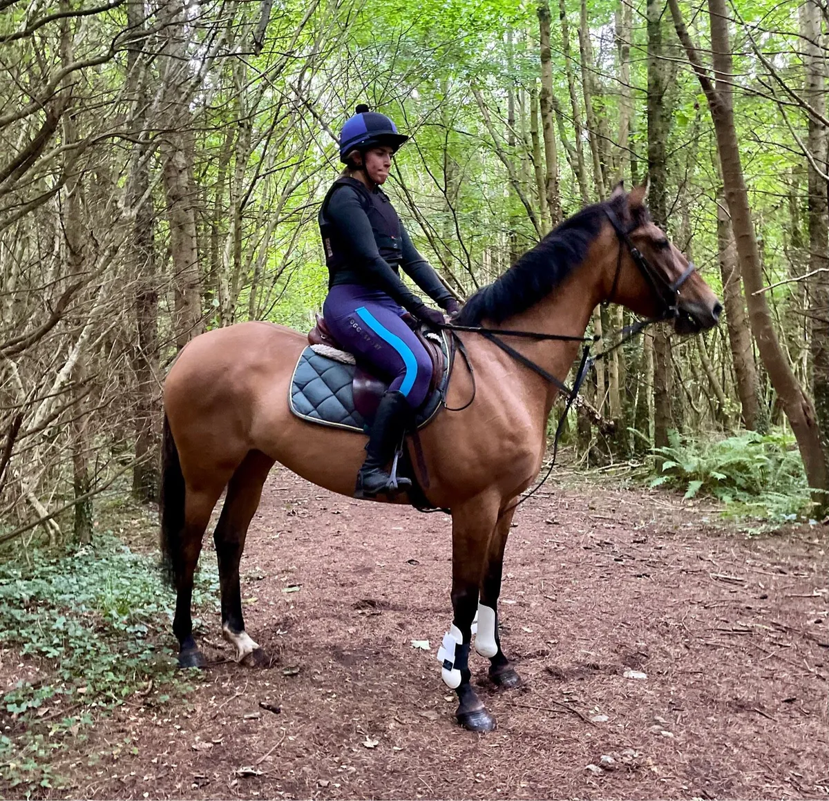 Genuine quiet 4 yo Dun mare - Image 2