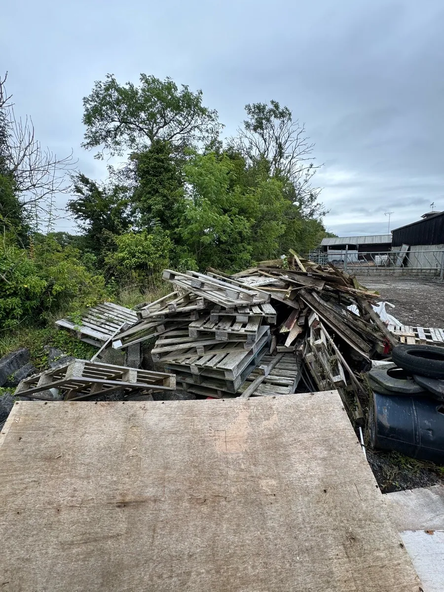 Pallets/Fire wood - Image 1