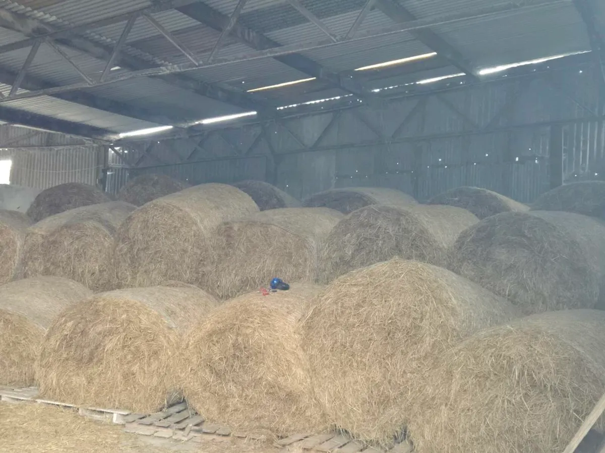 Round Bales of Hay - Image 1