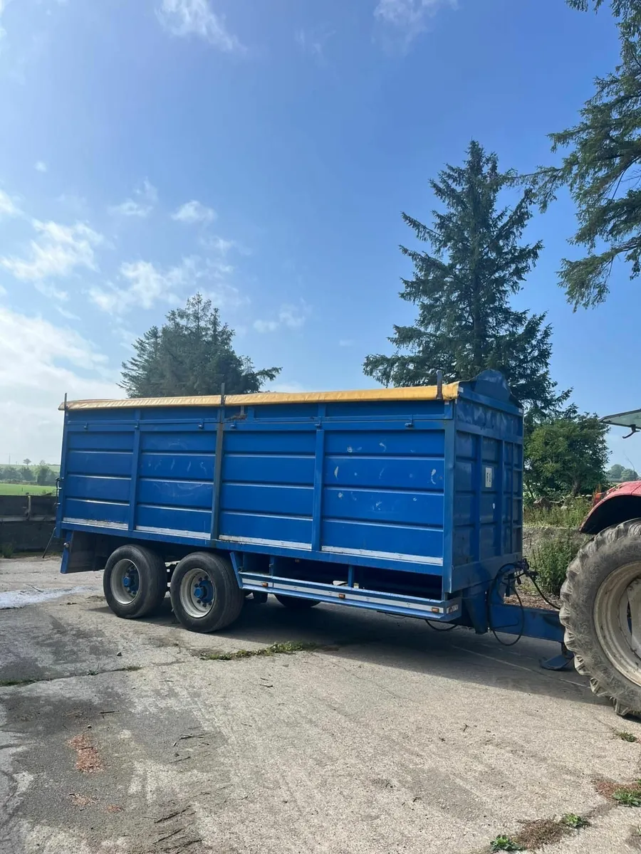 Dooley Grain Trailer - Image 3