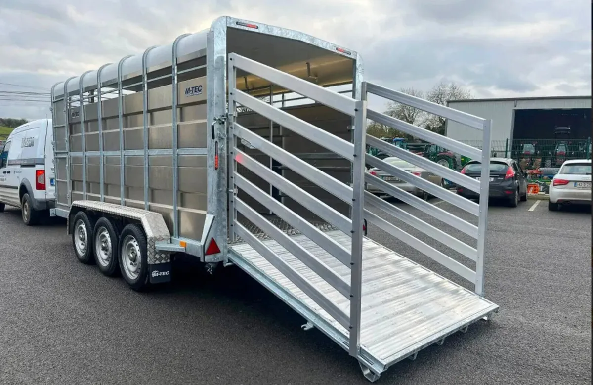 M-TEC 14FT X 6FT cattle trailer - Image 4