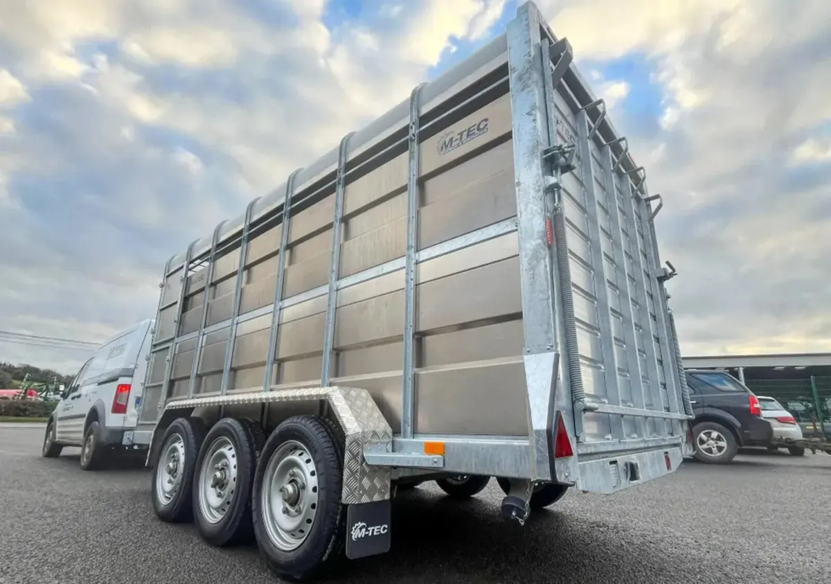 M-TEC 14FT X 6FT cattle trailer - Image 3