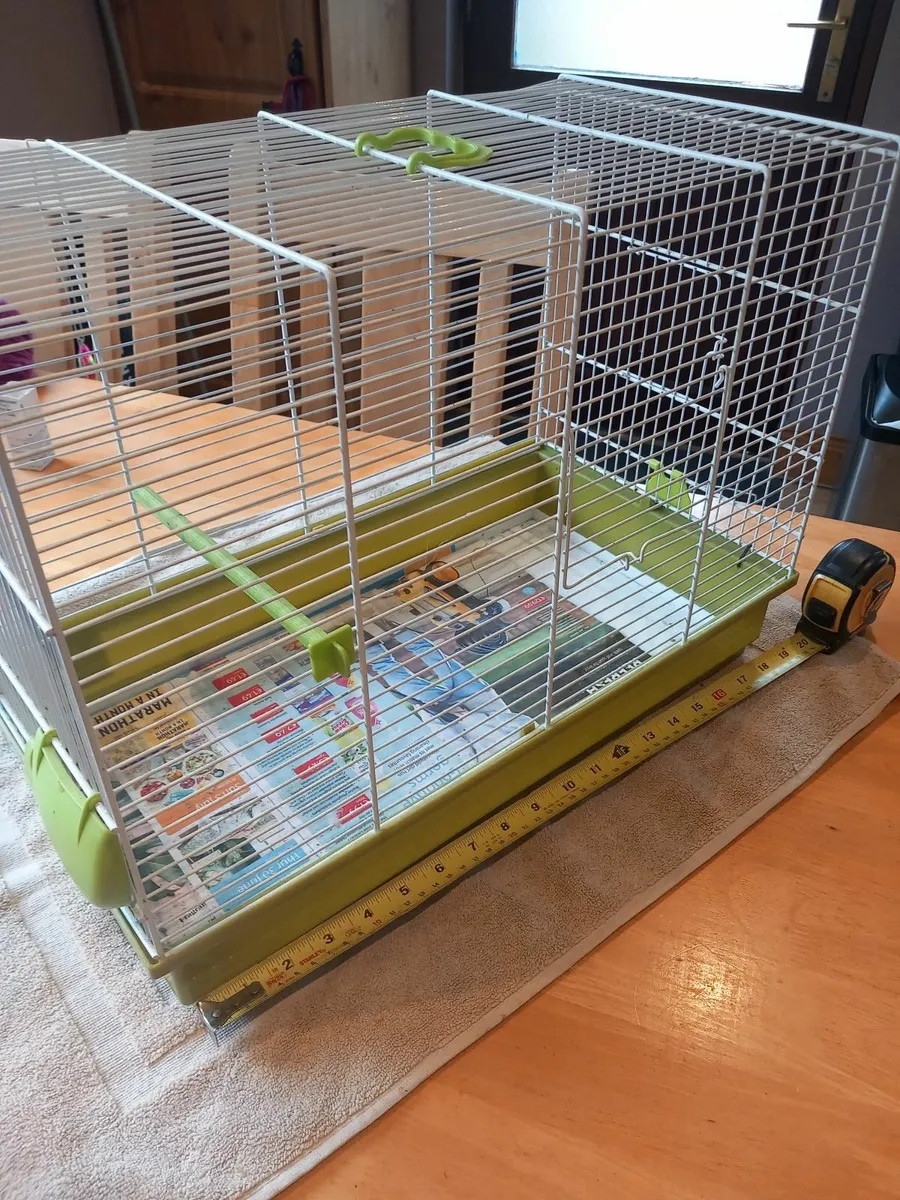 Avery Bird Equipment - Image 2
