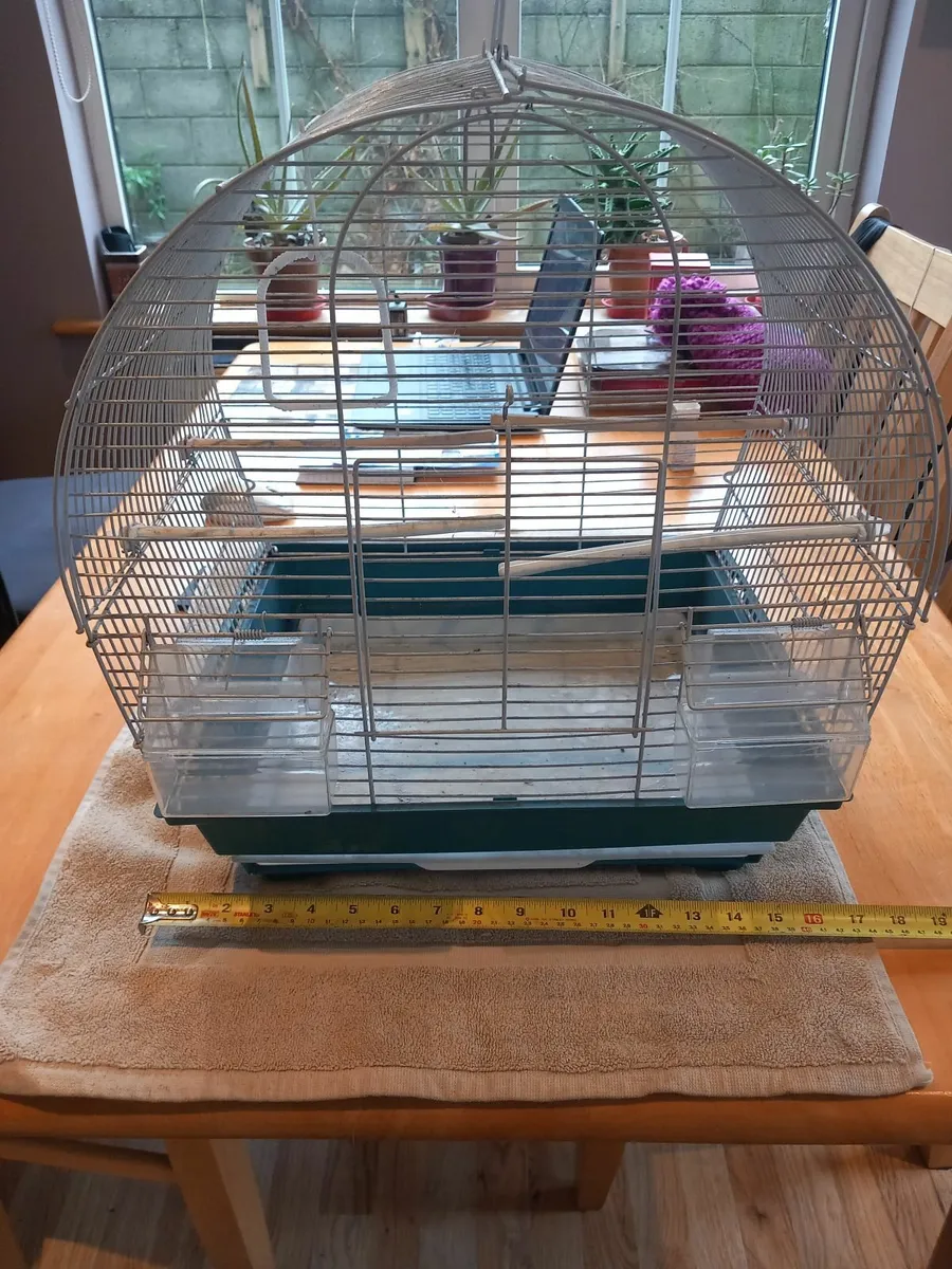 Avery Bird Equipment - Image 3
