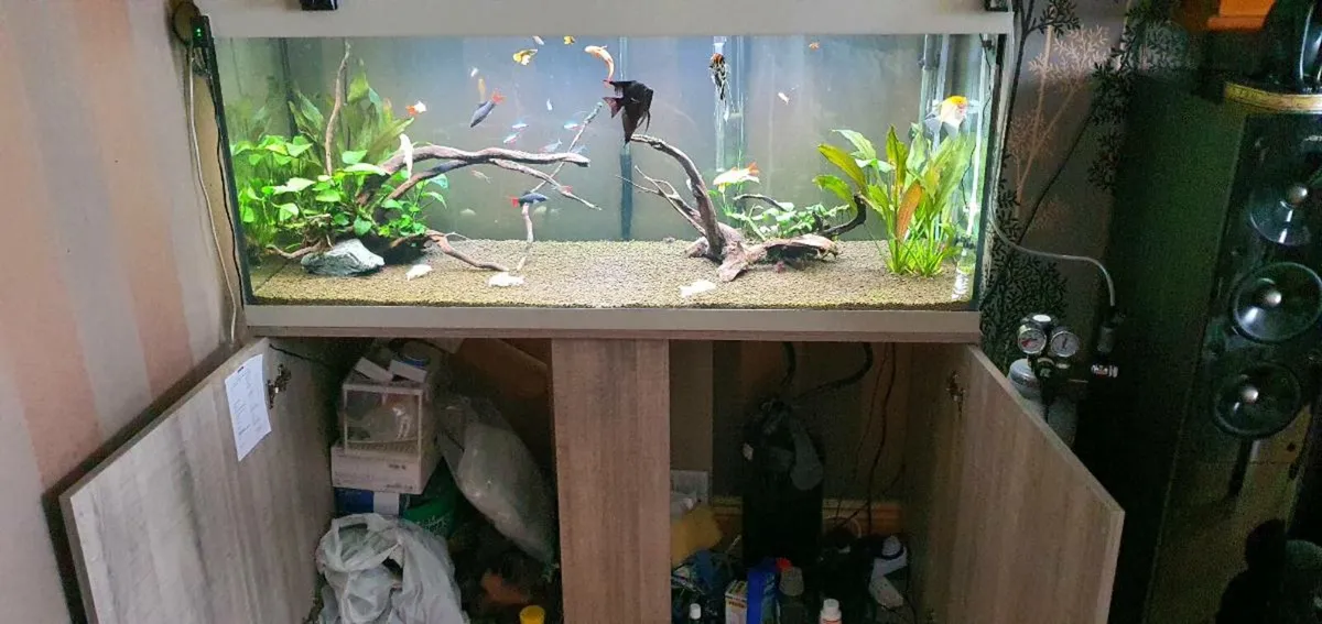 Fish tank 300l + stock and all equipment - Image 4
