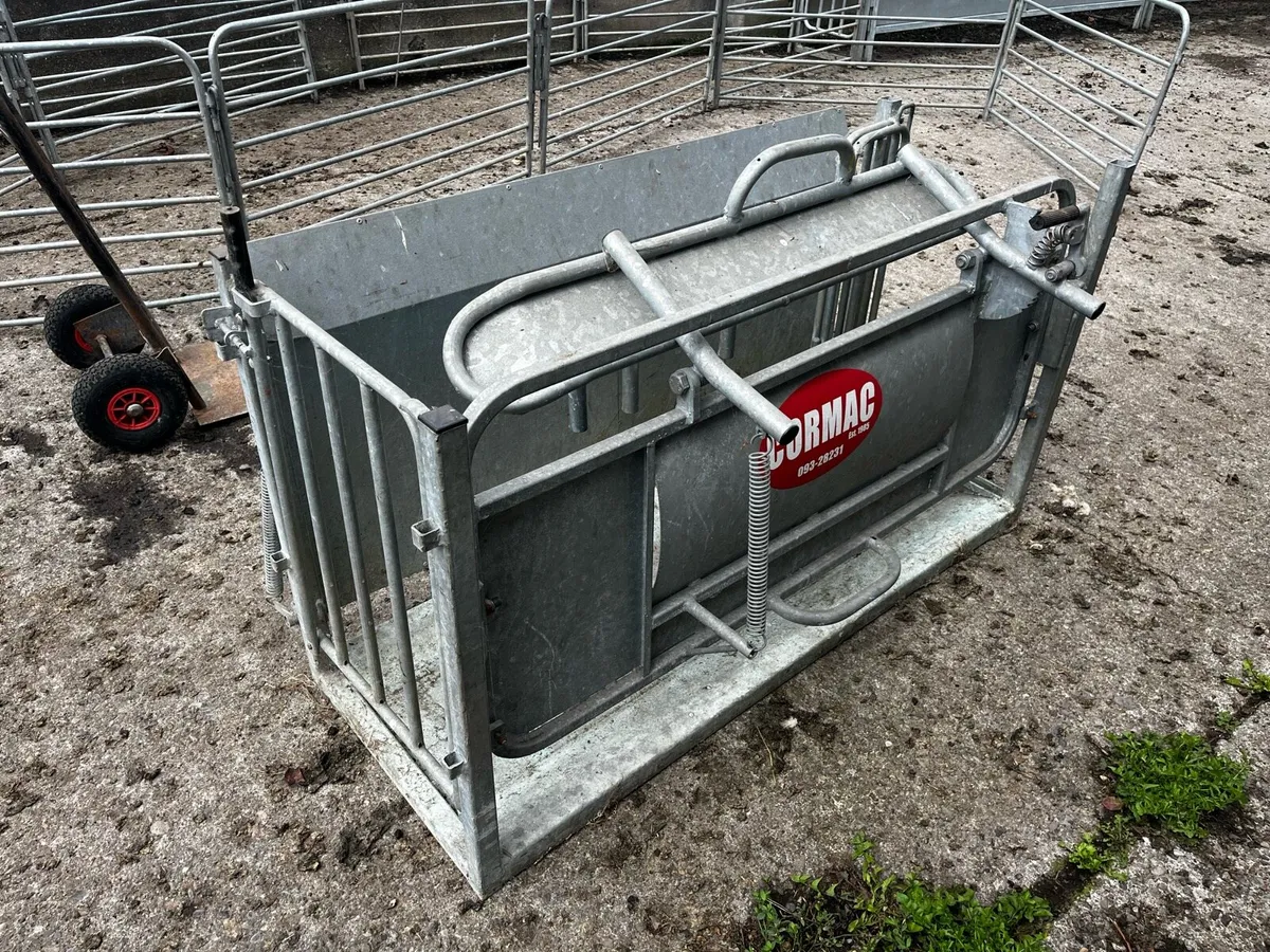 Sheep Roll Over Crate - Image 2