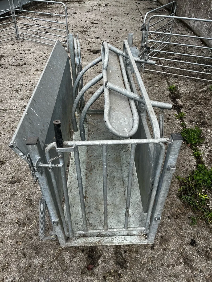 Sheep Roll Over Crate - Image 3