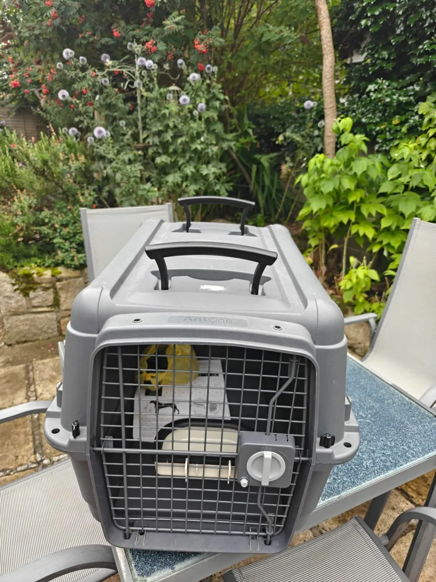 Pet travel box medium - Image 1