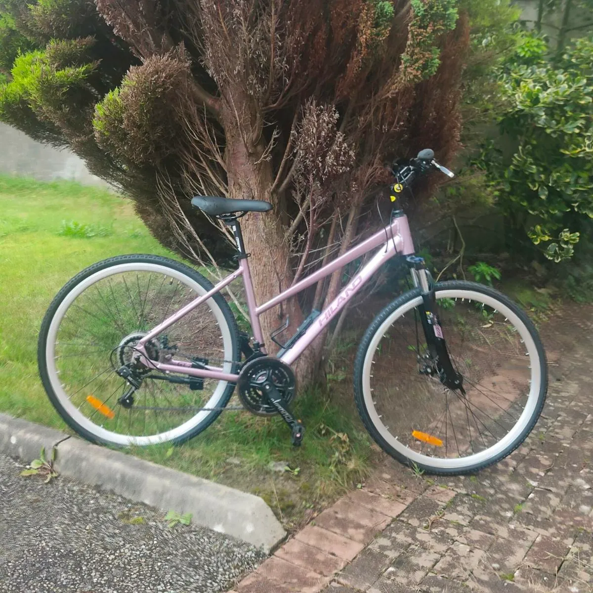 Bike - Image 1