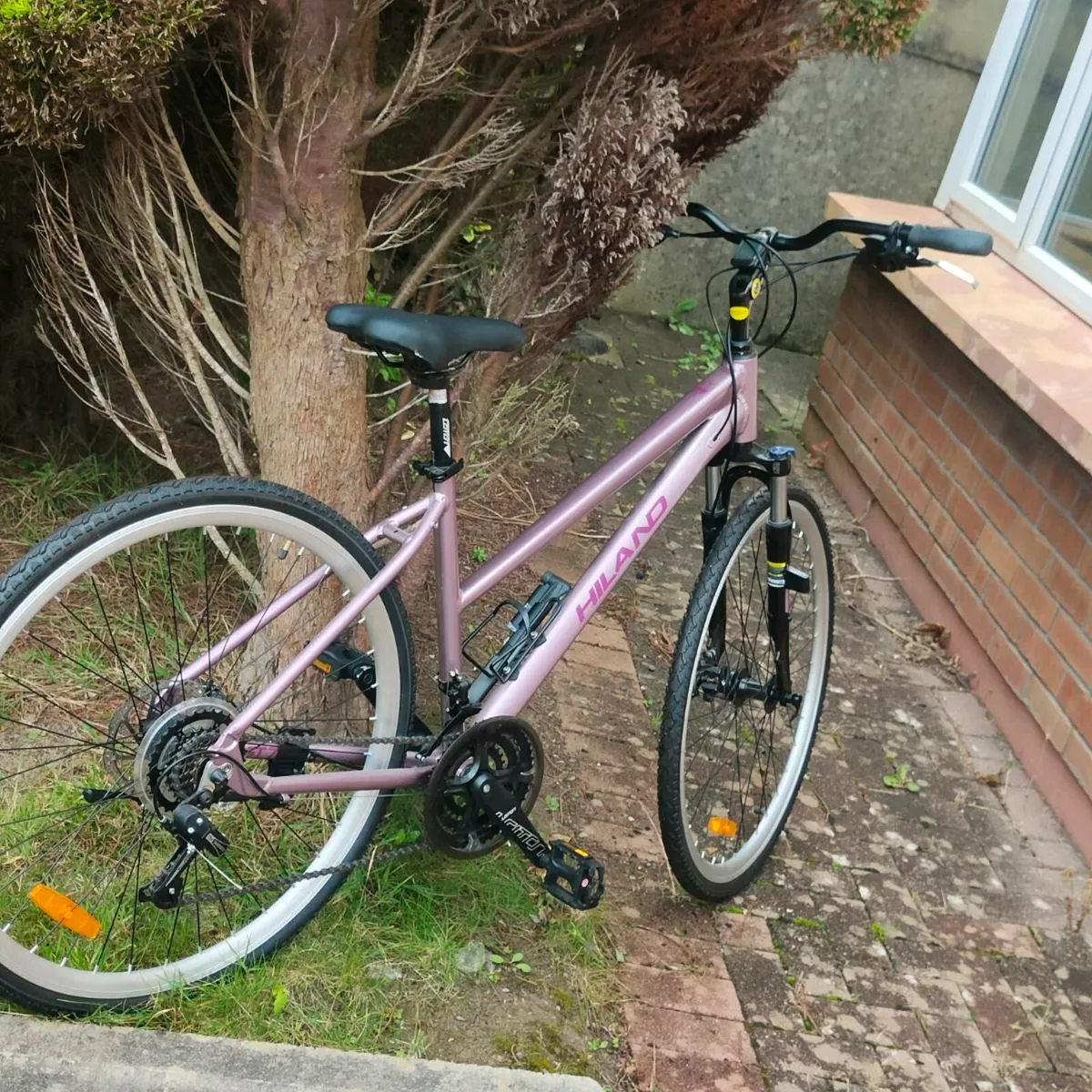 Bike - Image 2