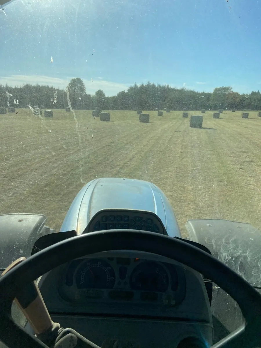Straw hay - Image 1