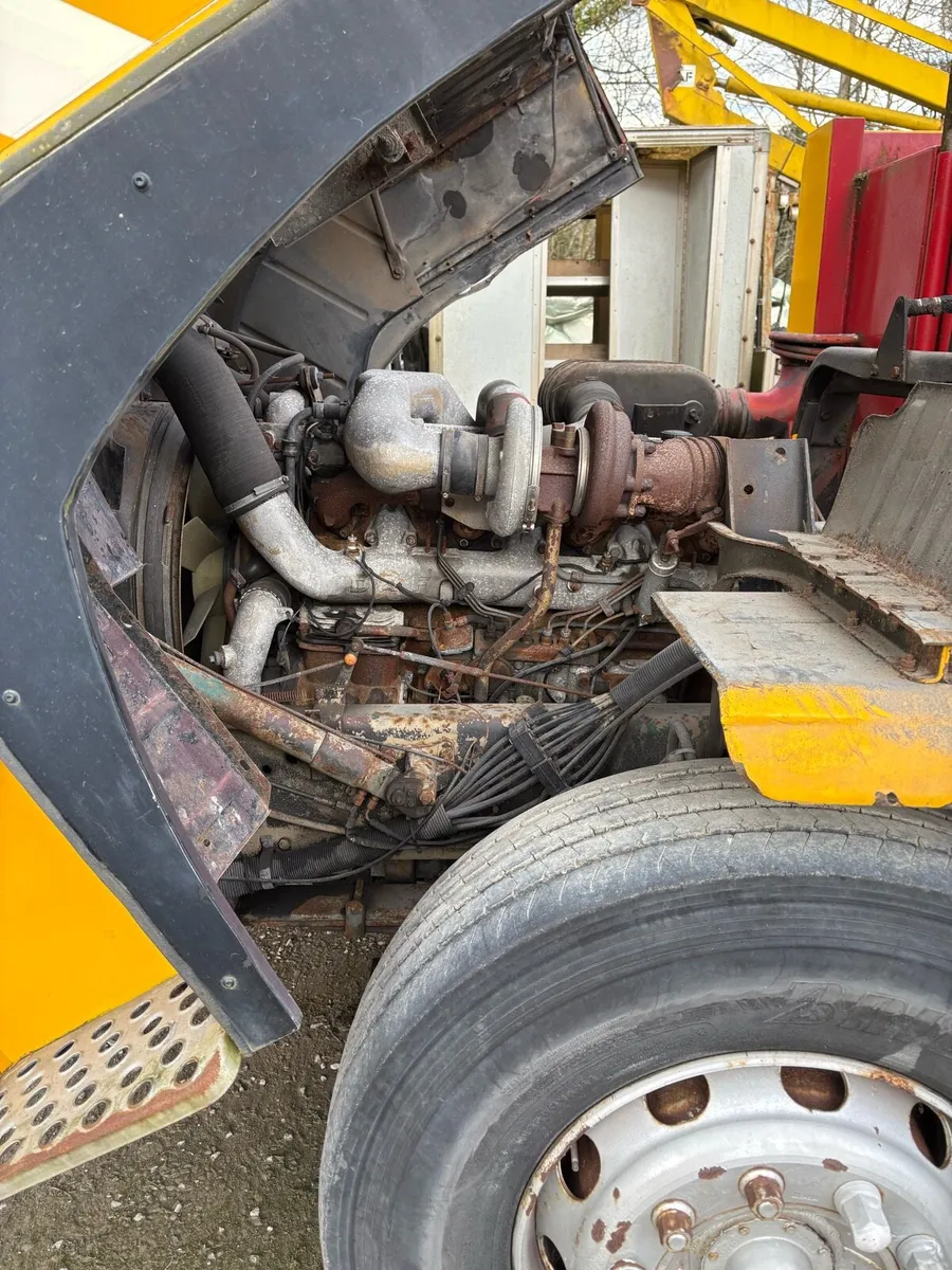 Daf - Image 4