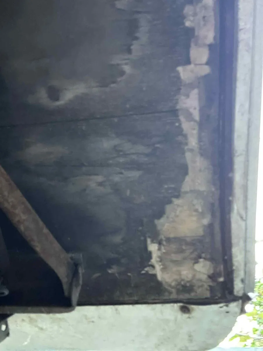 Elddis Avante 524 *needs work* - Image 3