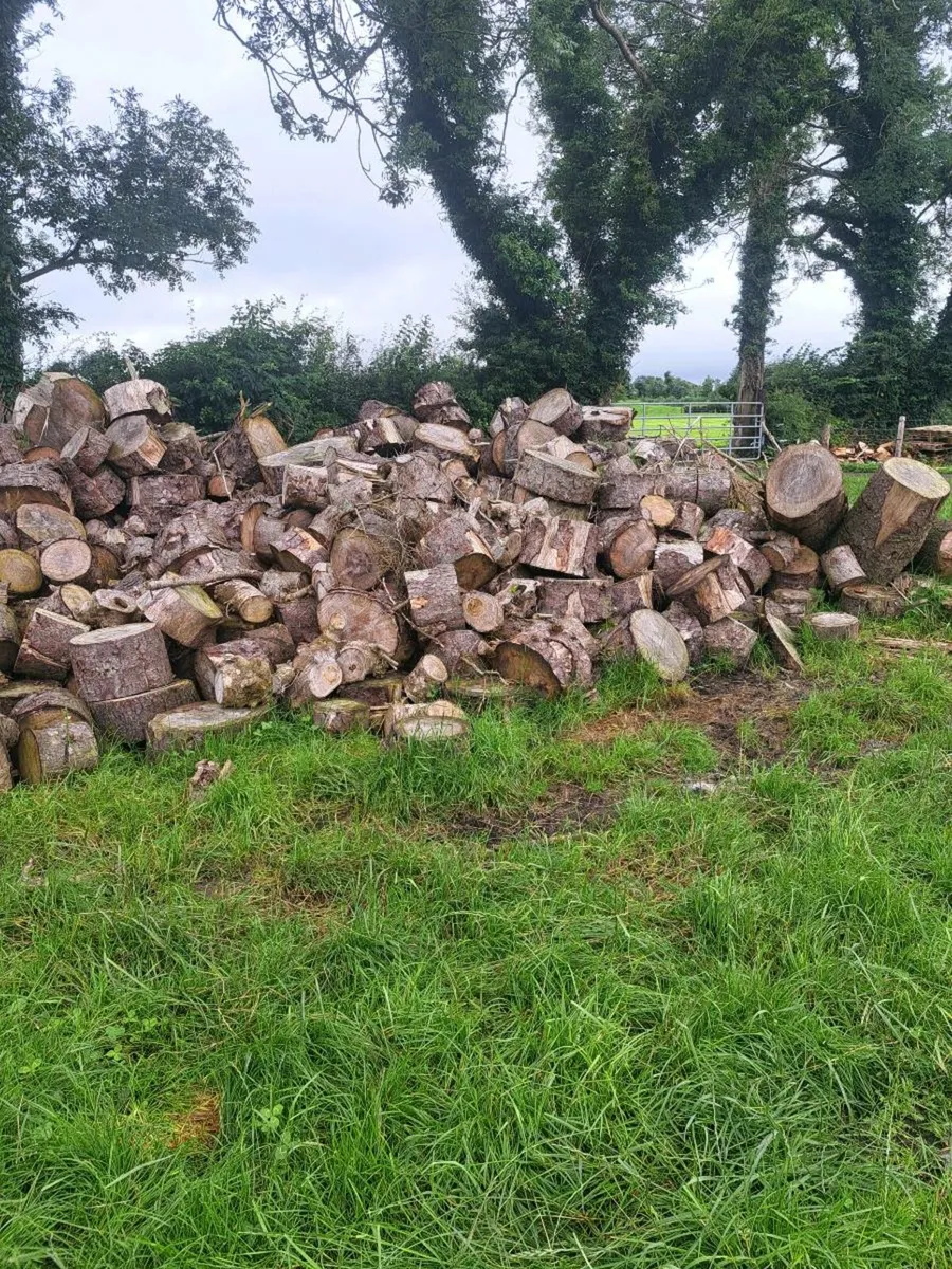 Timber - Image 1