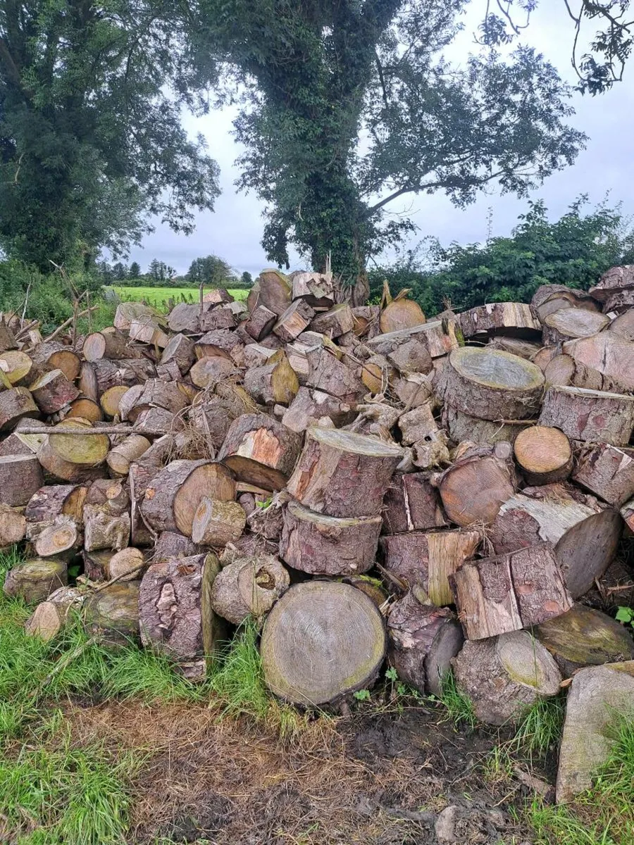Timber - Image 2