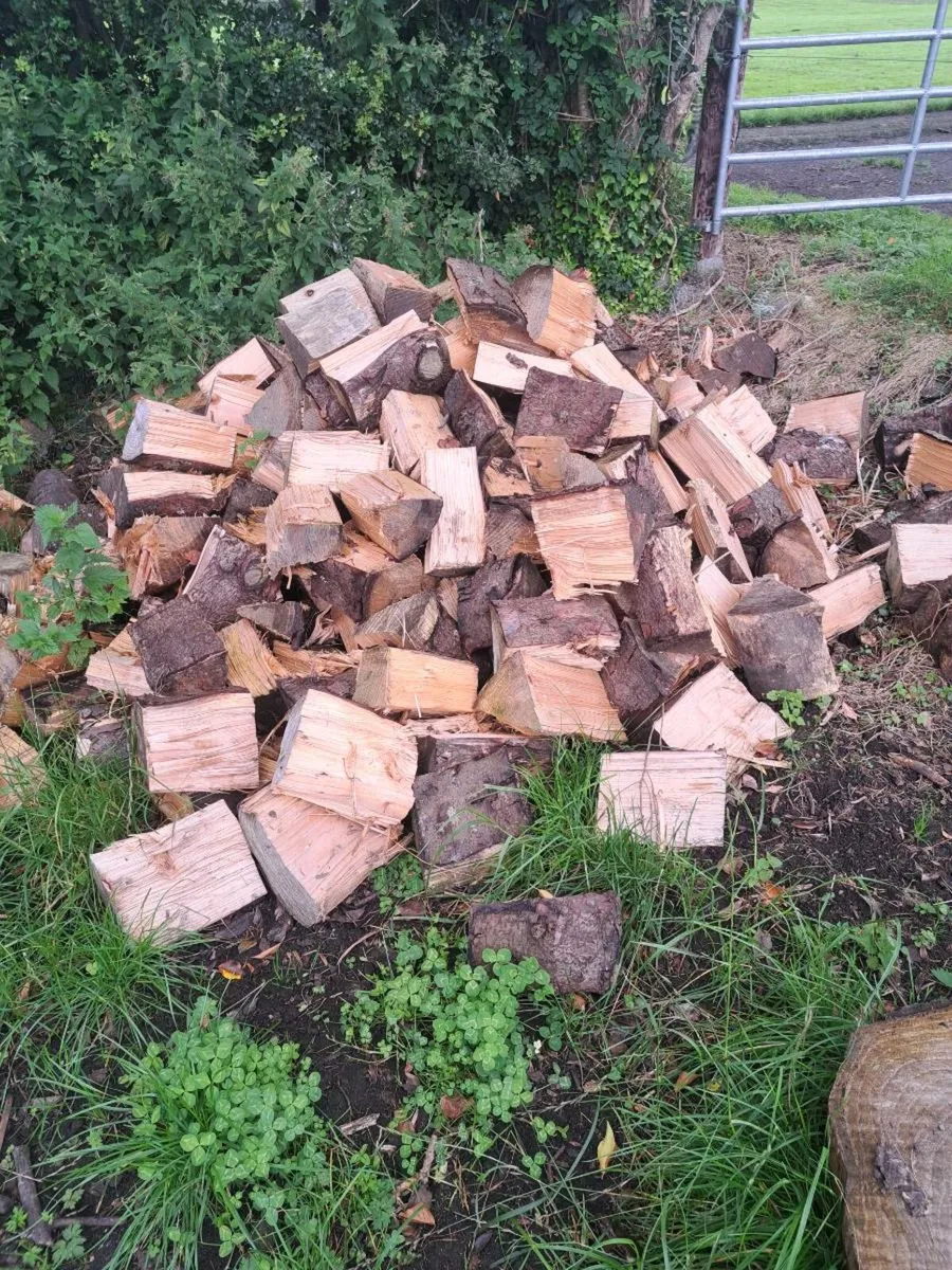 Timber - Image 3