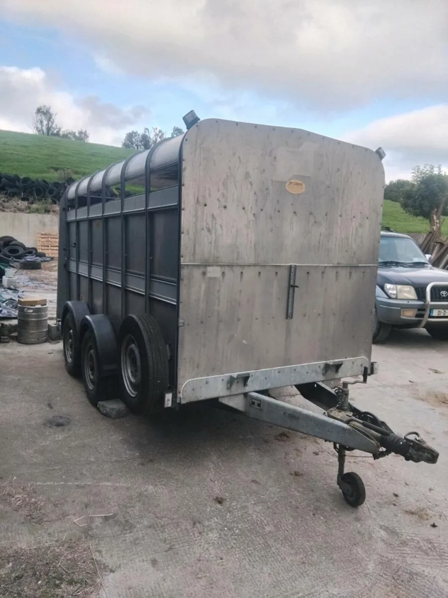 Ifor Williams cattle trailer - Image 2