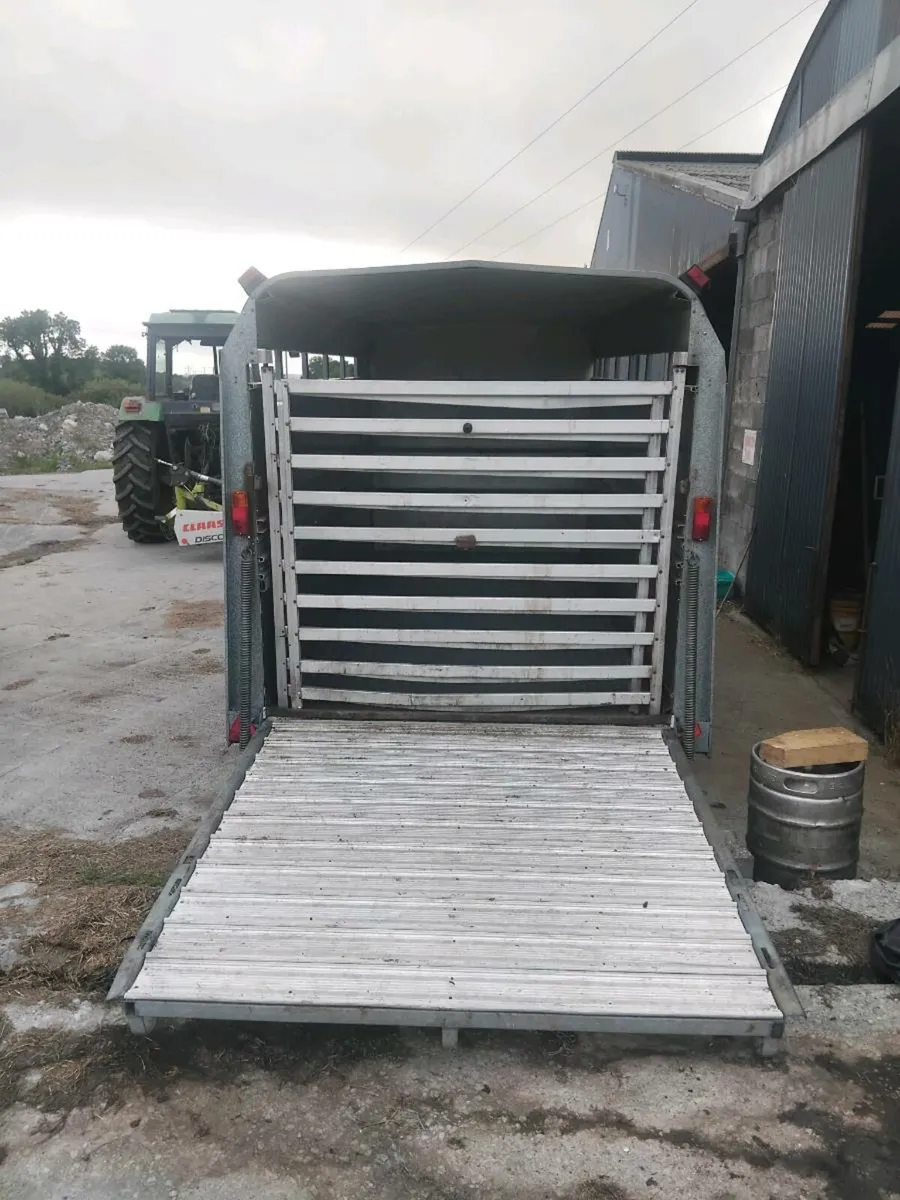 Ifor Williams cattle trailer - Image 4