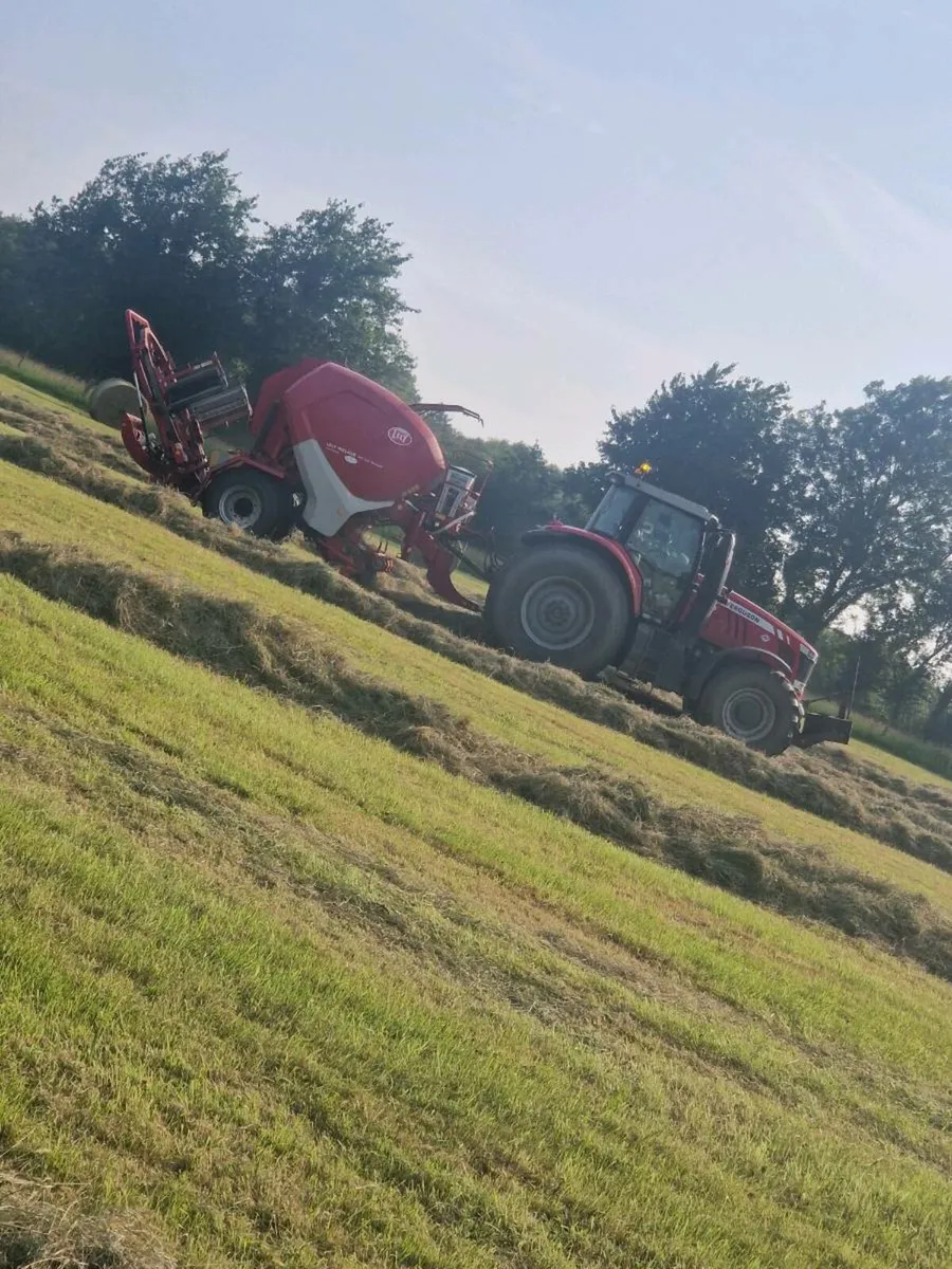 80 bales of organic silage for sale - Image 1