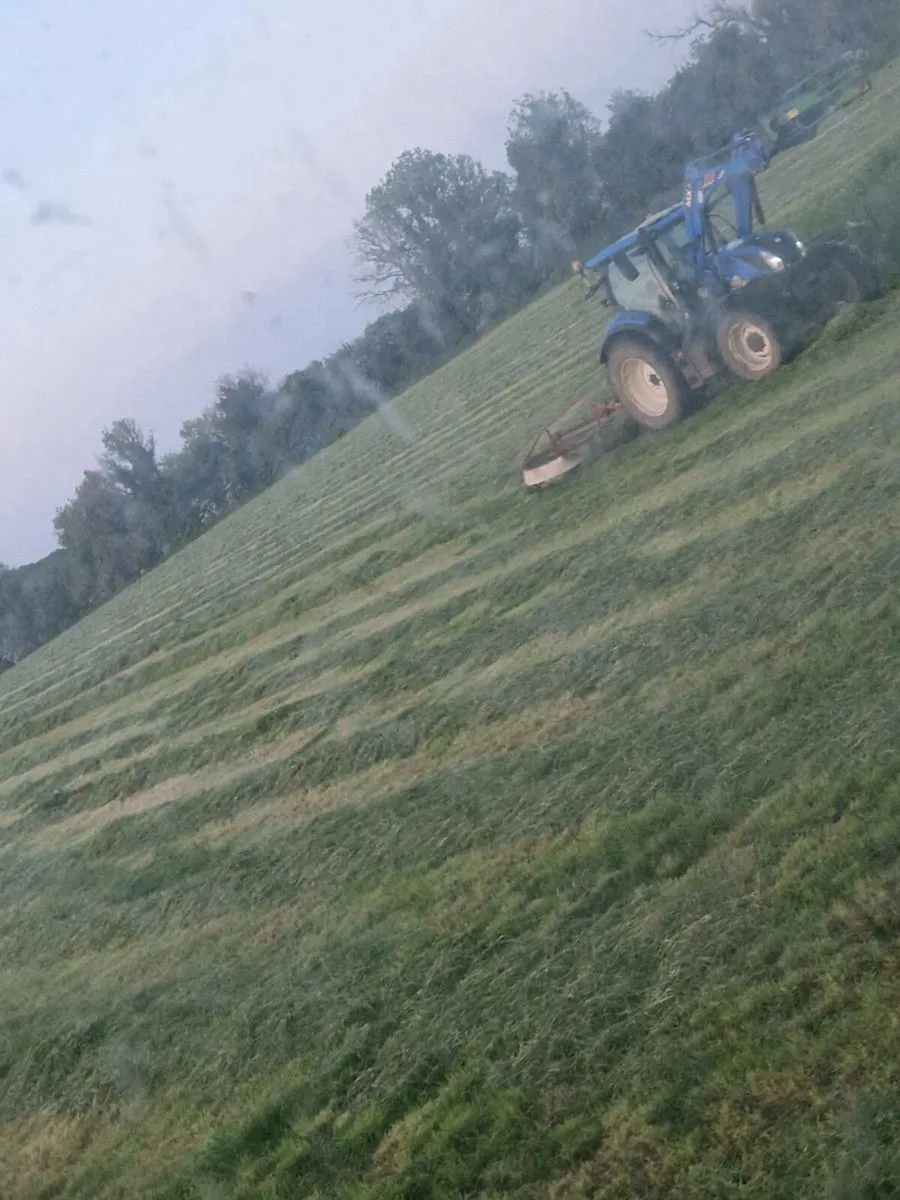 80 bales of organic silage for sale - Image 2